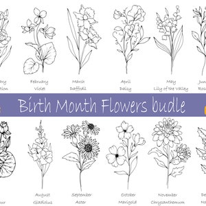 Birth month svg bundle , Birth Month Flower , BirthMonth Svg Bundle , Birth Flower Svg , Floral Svg , Botanical Svg