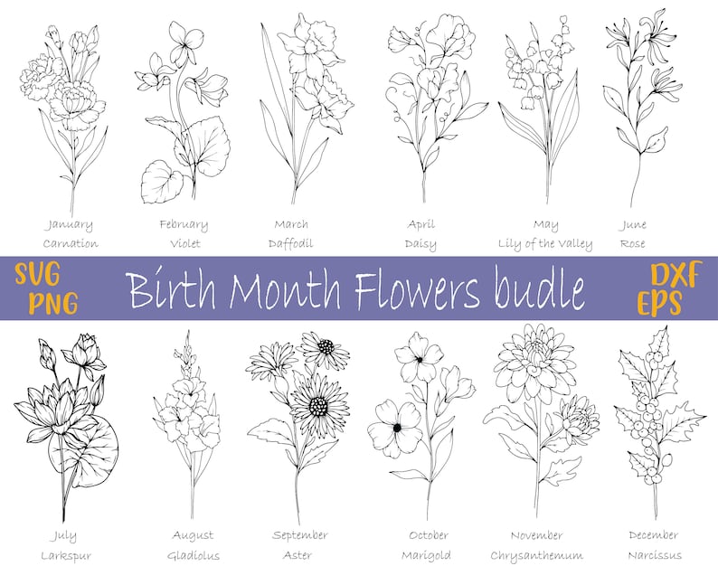 Birth Month Svg Bundle , Birth Month Flower , Birthmonth Svg Bundle ...