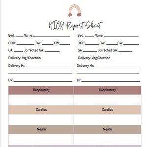 Mother Baby Nurse Report Sheet Bundle 4 Colors Nurse Brain Sheet RN