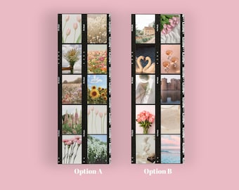 Photo Film Bookmark Collection/Flower Film Bookmark/Aesthetic Film Bookmark