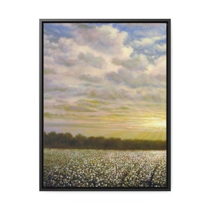 Southern Cotton Field Canvas Print: Mississippi Delta Farm Art