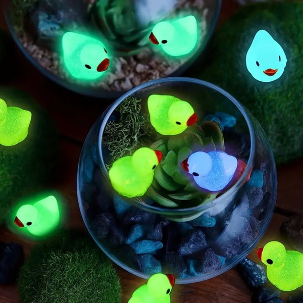 Glow in the Dark Duckling Car Accessories-Colorful Luminous Tiny Duck-Car Dashboard Decor-Moss Micro Landscape Ornaments Car Freshies