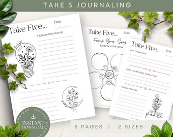 Diario di 5 minuti, DOWNLOAD PDF, Diario della gratitudine, Diario quotidiano, Diario della cura di sé, Diario di cinque minuti, Riflessione quotidiana, Suggerimenti per il diario