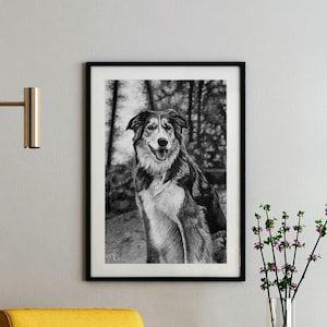 Custom Pet Portrait Charcoal Drawing. Personalised Art and gift. Meaningful animal drawing.