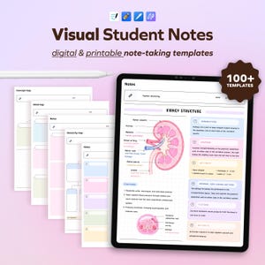 Może przedstawiać: Cyfrowy tablet wyświetlający szablon do nauki zatytułowany Visual Student Notes ze schematem budowy nerki i etykietami anatomicznymi. Ekran zawiera tekst, wypunktowania i pastelowe ramki. Nad tabletem znajduje się biały rysik.