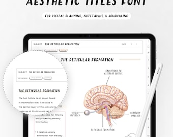タイトル 手書きフォント デジタルプランナー iPad デジタルメモ作成とデジタルプランニングのための手書きフォント Goodnotes フォント Notability Noteshelf