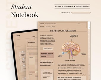 Puede incluir: Un cuaderno de estudiante beige y marrón con un horario de estudio, una página de inicio y una página sobre la formación reticular del cerebro. La página sobre la formación reticular incluye un diagrama del cerebro con etiquetas para los impulsos visuales, los impulsos auditivos y la formación reticular.