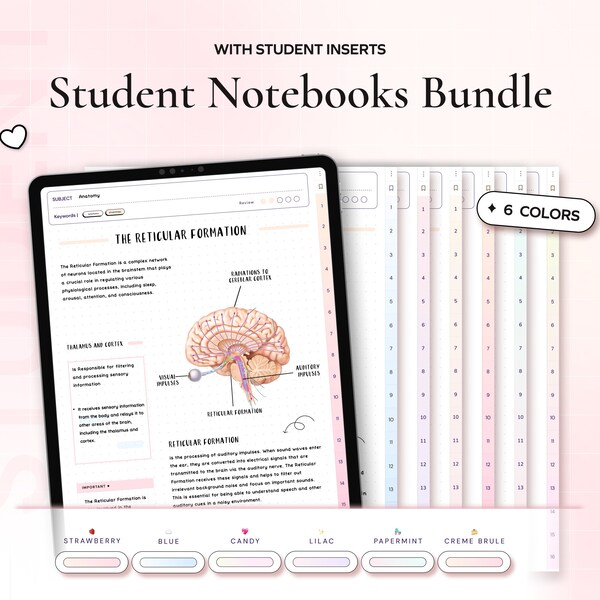 Student Digital Notebook Pastel Bundle Hyperlinked Notetaking Templates for Goodnotes Notability iPad and note-taking apps Academic School