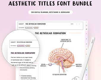 タイトル 手書きフォント デジタルプランナー iPad デジタルメモ作成とデジタルプランニングのための手書きフォント Goodnotes フォント Notability Noteshelf