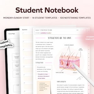 Op de afbeelding: Een roze en wit studenten notitieboek met een sectie over de structuur van haar. De pagina bevat een diagram van een haarfollikel met labels voor de haarpapillen, de follikel, het stratum corneum en het huidoppervlak. De tekst op de pagina bespreekt de haarfollikel, de structuur ervan en de haargroei.