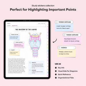 K&ouml;nnte beinhalten: Eine digitale Illustration der Anatomie des Kehlkopfs mit Beschriftungen f&uuml;r den Schildknorpel, den Ringknorpel und die Luftr&ouml;hre. Die Illustration befindet sich auf einem Tablet-Bildschirm mit rosa Hintergrund. Der Text "The Anatomy of the Larynx" befindet sich oben in der Illustration. Der Text "Use As" befindet sich unten in der Illustration mit Aufz&auml;hlungszeichen f&uuml;r "Key Info", "Visual Aids for Diagrams", "Quick Reference" und "Organizational Tabs".