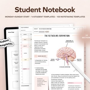 Könnte beinhalten: Eine Studenten-Notizbuchseite mit einem Stundenplan, Notizen und einem Diagramm der Formatio reticularis im Gehirn. Die Seite ist mit "Die Formatio reticularis" betitelt und enthält Schlüsselwörter, ein Diagramm des Gehirns und Notizen zur Funktion der Formatio reticularis. Die Seite ist Teil eines 16-seitigen Notizbuchs.