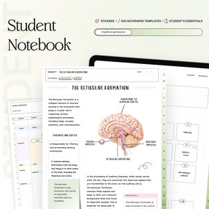 Student Digital Notebook Hyperlinked Journal for Goodnotes School Planner Template Notes app Notability iPad college academic student notes