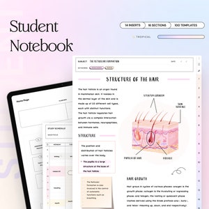 May include: A digital notebook page with a study schedule, a section on the structure of hair, and a diagram of a hair follicle. The page includes the text "Structure of the Hair", "Hair Growth", "The hair follicle is an organ found in mammalian skin", "The papilla is a large structure at the base of the hair follicle", and "Hair grows in cycles of various phases".