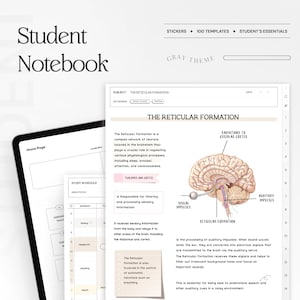 Quaderno digitale per studenti, carta per appunti minimalista, modelli di studio per appunti con collegamento ipertestuale, blocco note Goodnotes Notability iPad College Academic