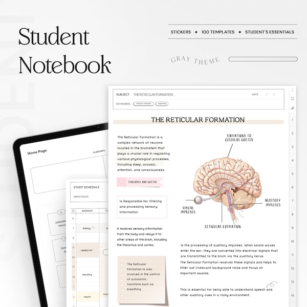 Digitales Notizbuch für Studenten, minimalistisches Notizpapier mit Hyperlinks zur Aufnahme von Studienvorlagen Notizblock Goodnotes Notability iPad College Academic