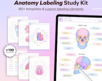 Anatomy Labeling Templates, Nursing Student Study Sheets, Goodnotes Note taking, Medical Student, Human Body Systems, School College Notes