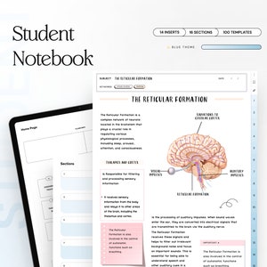 May include: A blue and white student notebook with the title "Student Notebook" and a section on the Reticular Formation of the brain. The page includes a diagram of the brain with labels for the visual and auditory impulses, the reticular formation, and the thalamus and cortex. The text "The Reticular Formation is a complex network of neurons located in the brainstem that plays a crucial role in regulating various physiological processes, including sleep, arousal, attention, and consciousness." is also included.