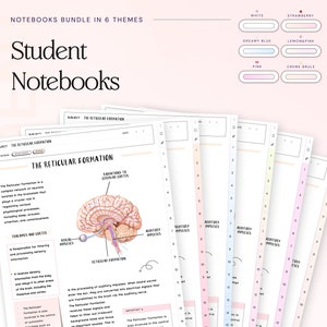 Könnte beinhalten: Ein Set aus sechs Studenten-Notizbüchern mit verschiedenen farbigen Umschlägen. Die Notizbücher zeigen ein Diagramm der retikulären Formation des Gehirns und den Text "The Reticular Formation". Die Umschläge sind weiß, Erdbeere, cremiges Blau, Zitronenrosa, rosa und Crème brûlée.