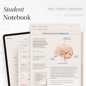 Quaderno digitale per studenti, carta per appunti minimalista, modelli di studio per appunti con collegamento ipertestuale, blocco note Goodnotes Notability iPad College Academic