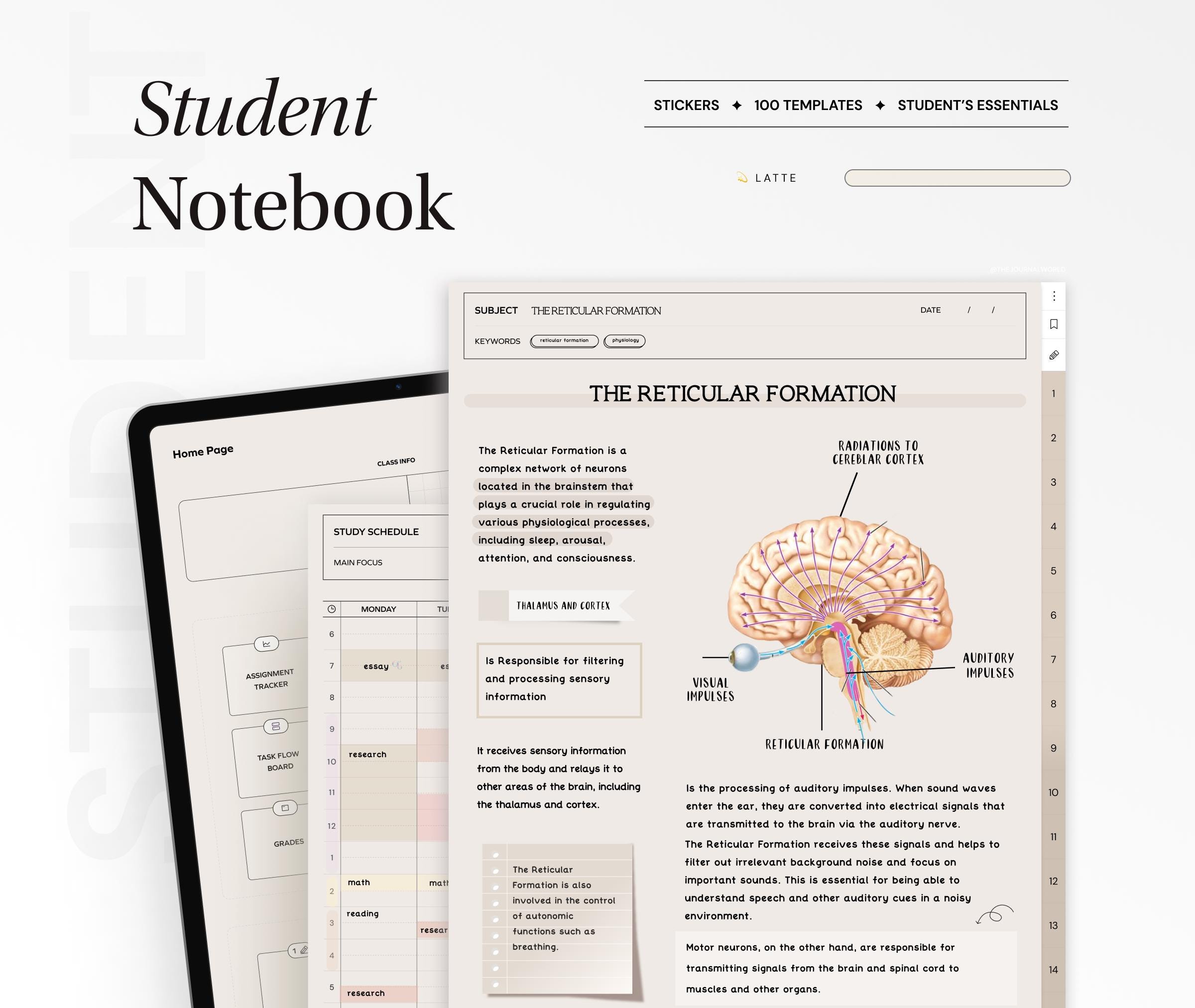 Student Digital Notebook, Minimalist Note Paper Hyperlinked Notetaking Study Templates Notepad Goodnotes Notability iPad College Academic