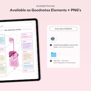 K&ouml;nnte beinhalten: Eine digitale Illustration des menschlichen Verdauungssystems mit Beschriftungen f&uuml;r jedes Organ. Das Bild ist in zwei Formaten verf&uuml;gbar: Goodnotes-Elemente und PNG-Dateien. Das Goodnotes-Elementformat enth&auml;lt Anweisungen zur Verwendung. Die PNG-Dateien k&ouml;nnen in jeder Notiz-App verwendet werden.