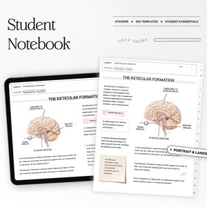 Op de afbeelding: Een digitale notitieboekpagina met een diagram van de formatio reticularis in de hersenen. Het diagram toont de locatie van de formatio reticularis, evenals de sensorische en motorische impulsen die er doorheen reizen. De pagina bevat ook tekst die de functie van de formatio reticularis uitlegt.