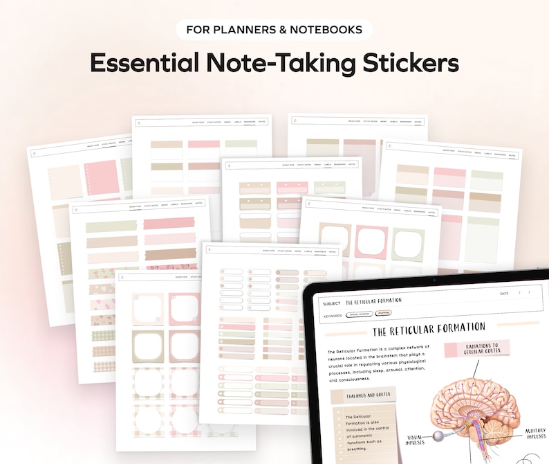 Student Digital Stickers for Planner Goodnotes Precropped Study ...