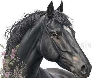 Black Horse Clipart, 10 High Quality PNGs transparent background, Digital Download, Card Making, Cute Animal Clipart, Digital Paper #63