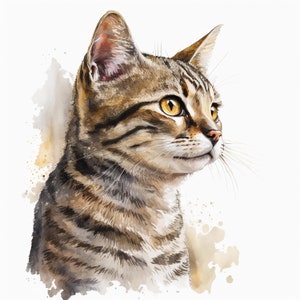 Chat Clipart, 10 JPG de haute qualité, pépinière Art, téléchargement numérique instantané | Clipart animal mignon, fabrication de cartes, artisanat en papier numérique | #116