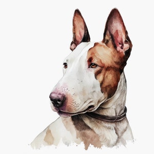 Bull Terrier Clipart, 10 High Quality JPGs, Nursery Art, Digital Download, Card Making, Cute Animal Clipart, Paper Craft | #150