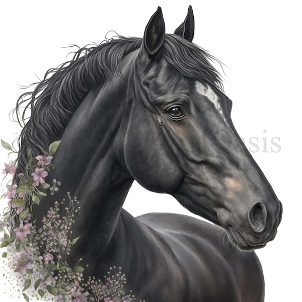 Clipart cheval noir, 10 PNG de haute qualité fond transparent, téléchargement numérique, fabrication de cartes, Clipart Animal mignon, papier numérique #63