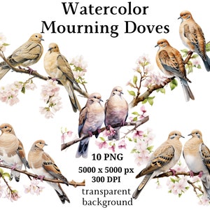 Tourterelles tristes Clipart, 10 PNG de haute qualité, téléchargement numérique instantané | Fabrication de cartes, Dove Clipart, Digital Paper Craft | #1128