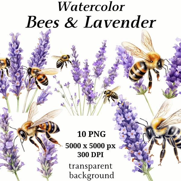 Bees & Lavender Clipart - 10 High Quality PNGs, Digital Download, Printable Graphics, Card Making, Insects Clipart, Digital Paper Craft#1239