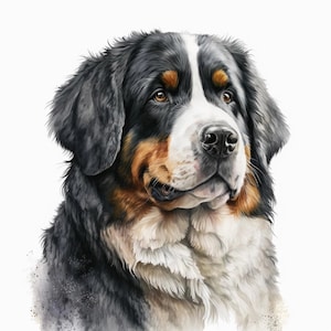 Berner Clipart, 10 hochwertige JPGs, Kinderzimmer Kunst, digitaler Download, Kartenherstellung, niedliche Tier Clipart, Papier Handwerk | #141