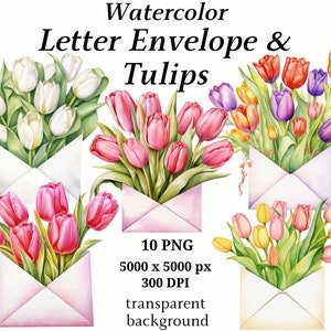 Sobre de carta y tulipanes clipart - 10 PNG de alta calidad, tulipanes de acuarela, descarga digital, creación de tarjetas, gráficos imprimibles #1236