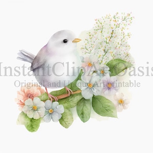Lindo pájaro blanco clipart, 10 JPG de alta calidad, arte infantil, descarga digital instantánea / creación de tarjetas, imágenes prediseñadas de animales, artesanía de papel digital #536