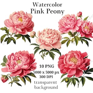 Pink Peony Clipart, 10 High Quality PNGs, Botanical Art, Digital Download, Card Making, Journaling, Digital Paper Craft | #995