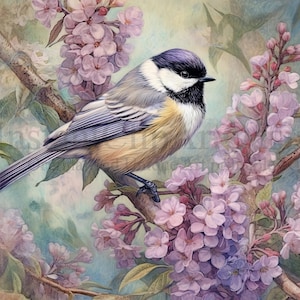 Clipart vintage de chickadee, 9 JPGs de alta qualidade, ilustração vintage, confecção de cartões, clipart de pássaros, artesanato em papel digital | #679