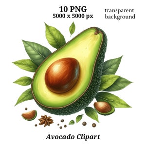 Avocado Clipart, 10 hoogwaardige PNG's, kinderkamerkunst | Kaarten maken, illustraties, digitaal papier, aquarel, avocado-afbeelding | #1492