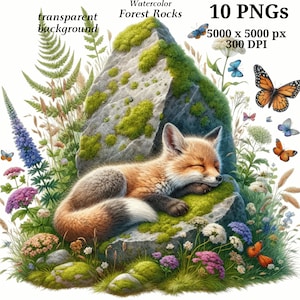 Może przedstawiać: Aquarela przedstawiająca śpiącego lisa zwiniętego na porośniętym mchem kamieniu, otoczonego dzikimi kwiatami i motylami. Tło jest przezroczyste.