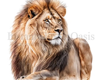 Lion Clipart, 9 High Quality PNGs transparent background, Nursery Art, Instant Digital Download | Card Making, Cute Animal Clipar | #15