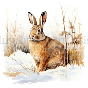 Winter Rabbits Clipart, 10 High Quality Jpgs, Digital Planners, Junk ...