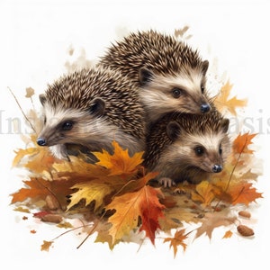 Clipart de ouriços em folhas de outono, 8 JPGs de alta qualidade, arte de berçário | Confecção de cartões, artesanato em papel digital, pintura em aquarela | #450