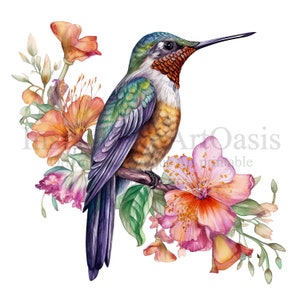 Hummingbird Clipart | Set 3 | 10 High Quality PNGs, Nursery Art, Instant Digital Download | Card Making, Animal Clipart, Paper Craft | #369