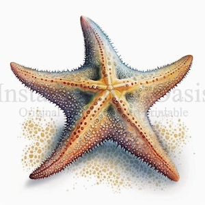 Clipart étoile de mer, 10 JPG de haute qualité, Art de la pépinière, Fabrication de cartes, Clip Art, Impression étoile de mer, Artisanat en papier numérique, Peinture à l'aquarelle | #122