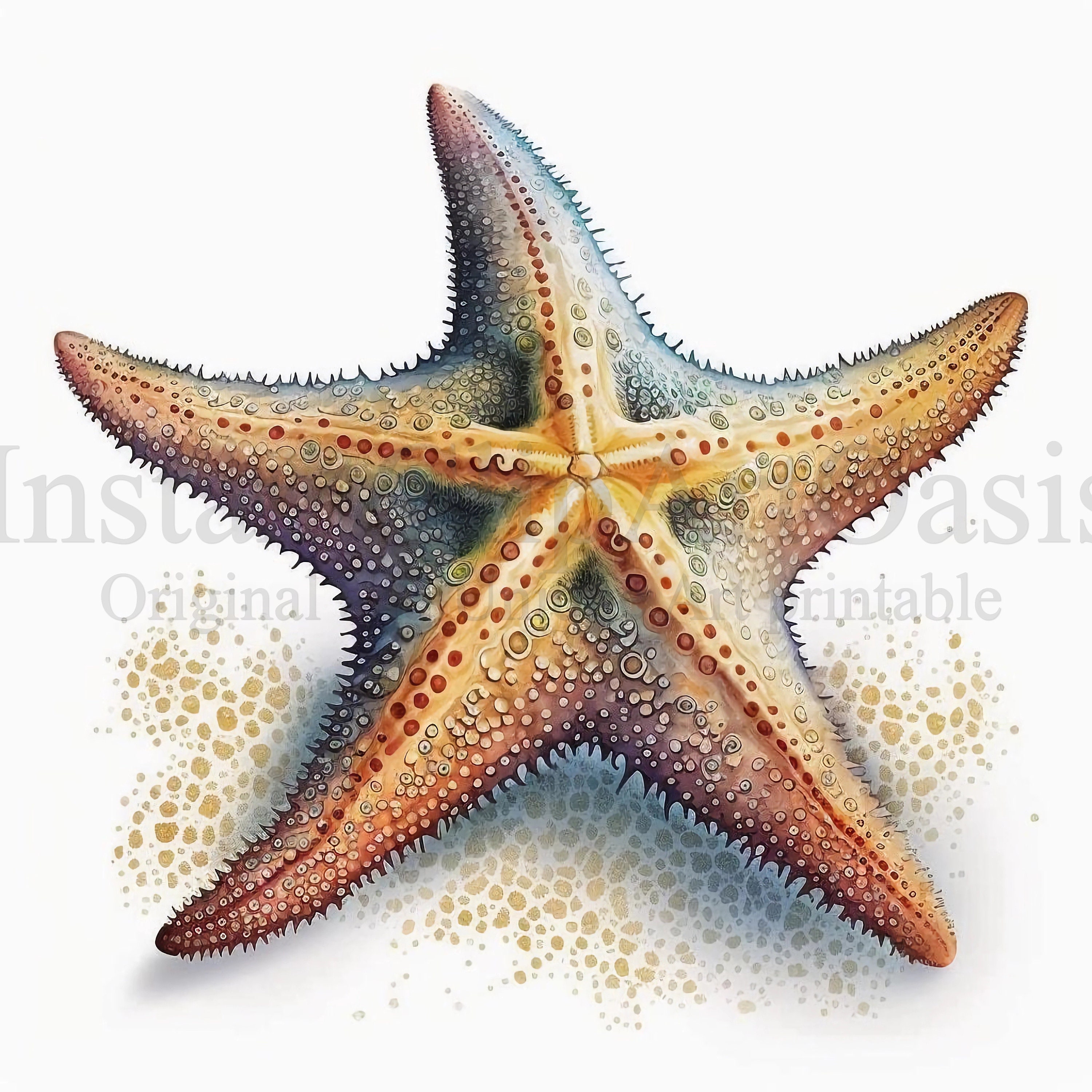 show me an image of starfish and shells on a sand-textured background to  use as a presentation screen background. Draw me so that my face doesn't  get cut