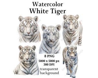Witte tijger clipart, 8 hoge kwaliteit PNG's, kinderkamer kunst | Kaarten maken, illustraties, tijgerprint, digitale papiermodellen | #1002