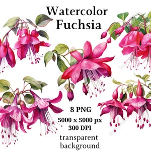 Fuchsia Clipart, 8 PNG de haute qualité, Art botanique, Téléchargement numérique, Fabrication de cartes, Journalisation, Artisanat en papier numérique | #959
