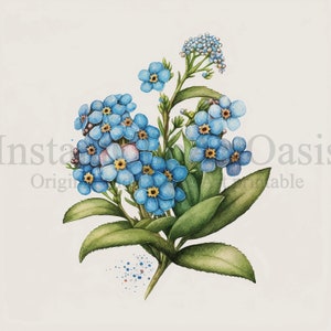 Forget me nots Clipart, 10 JPG de haute qualité, Téléchargement numérique, Art botanique, Fabrication de cartes, Journalisation, Artisanat en papier numérique | #178